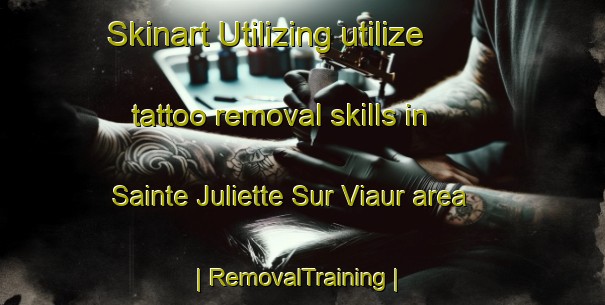 Skinart Utilizing utilize tattoo removal skills in Sainte Juliette Sur Viaur area | RemovalTraining | RemovalClasses | SkinartTraining-France